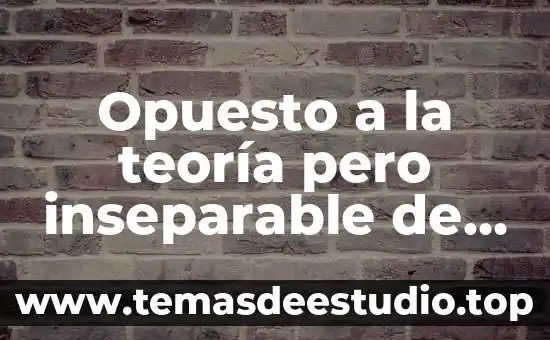 Que es la teoria en experiencia 5 Opuesto a la teoría pero inseparable de ella que es