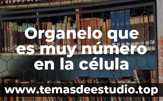Qué es el número IBAN de Bancomer México 6 Organelo que es muy número en la célula