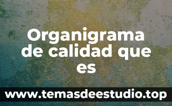 Qué es un hafu en calidad 8 Organigrama de calidad que es