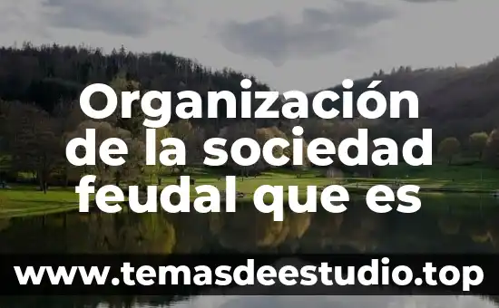 Que es una sociedad anonima y sociedad de responsabilidd limitaa 8 Organización de la sociedad feudal que es