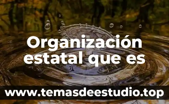 Qué es sociedad tradicional de México 4 Organización estatal que es