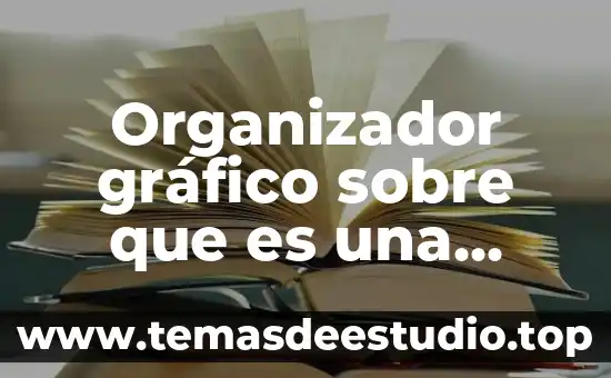Que es un organizador de conocimiento 4 Organizador gráfico sobre que es una solicitud de empleo