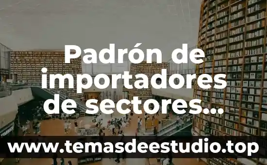 Qué es número de identificación del padrón de 3 Padrón de importadores de sectores específicos que es
