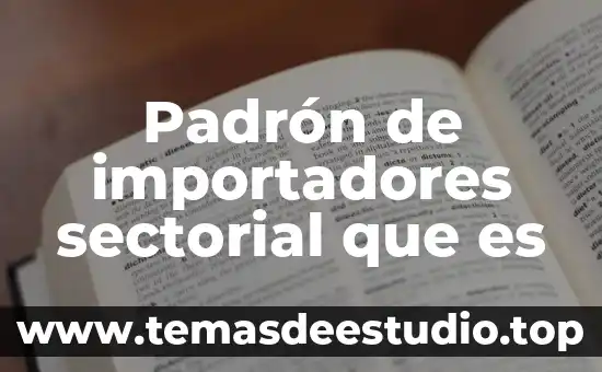 Qué es número de identificación del padrón de 5 Padrón de importadores sectorial que es