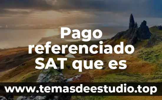 Pago referenciado SAT que es