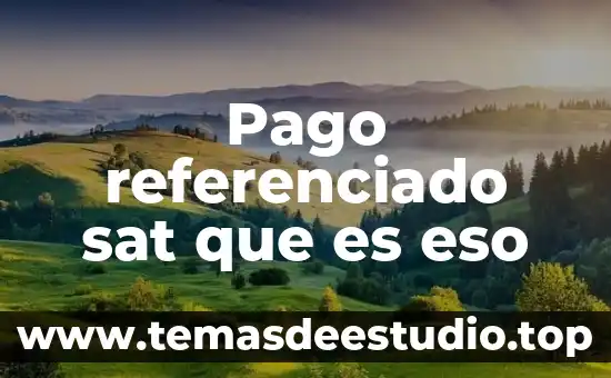 Pago referenciado sat que es eso