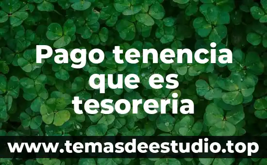 Que es imputacion de pago 4 Pago tenencia que es tesoreria