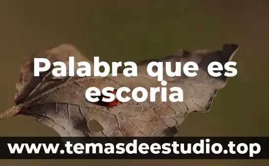 Que es la etimología de la palabra megalítica 7 Palabra que es escoria