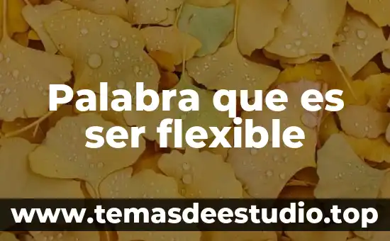 Palabra que es ser flexible