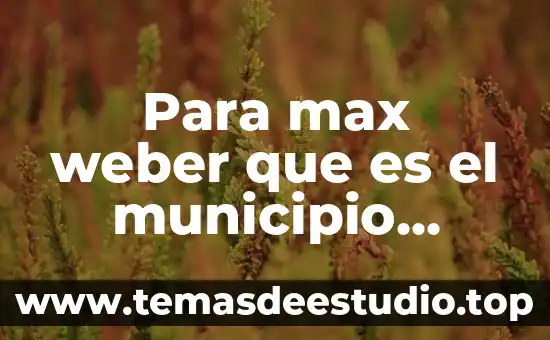 Que es desarrollo urbano en el municipio 3 Para max weber que es el municipio formal