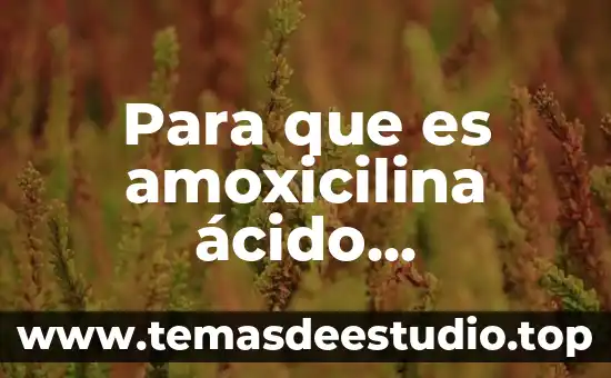 Que es la literatura arte 6 Para que es amoxicilina ácido clavulanico