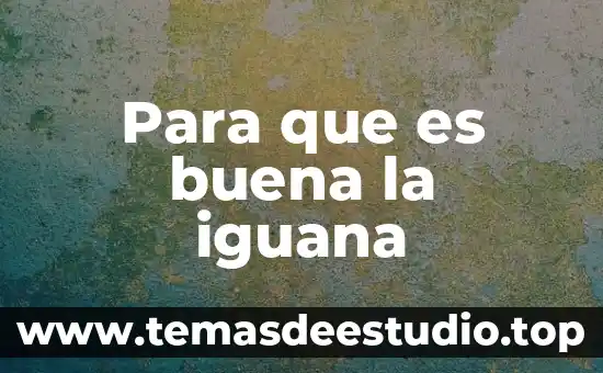 Que es la tecnologia 386 4 Para que es buena la iguana