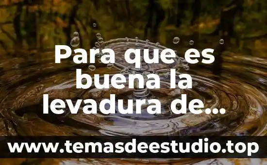 Qué es el proceso de maceración en la cerveza 4 Para que es buena la levadura de cerveza en pastillas