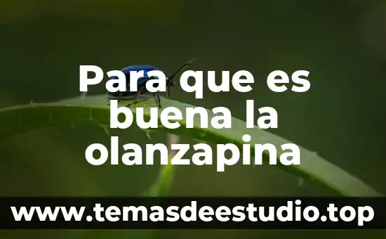 Cuando les enseñas lo que es buena música de rock 3 Para que es buena la olanzapina