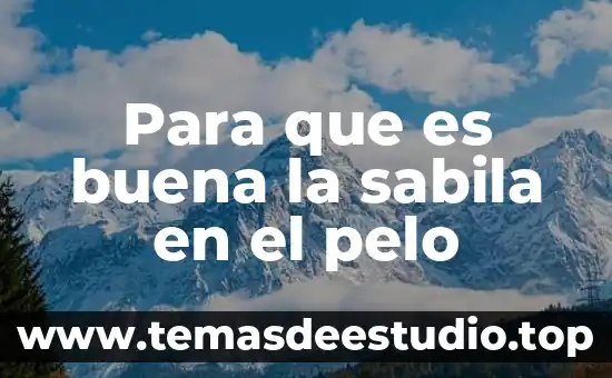 Para que es buena la planta maca 5 Para que es buena la sabila en el pelo