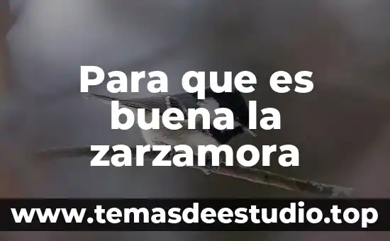 Para que es buena la planta maca 4 Para que es buena la zarzamora