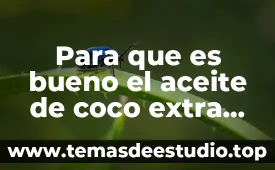 Para que es bueno el aceite de coco extra virgen