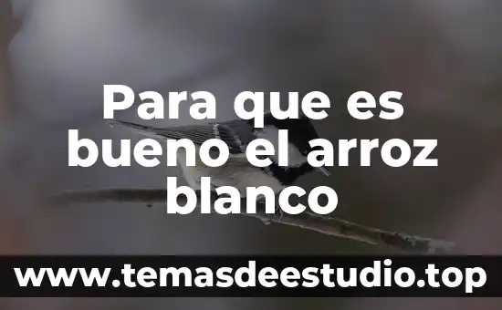 Para que es bueno la planta moringa 7 Para que es bueno el arroz blanco