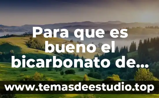 Por que es bueno ser bilingue 5 Para que es bueno el bicarbonato de sodio