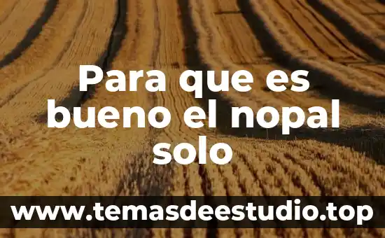 Qué es la planta procesadora del nopal 7 Para que es bueno el nopal solo
