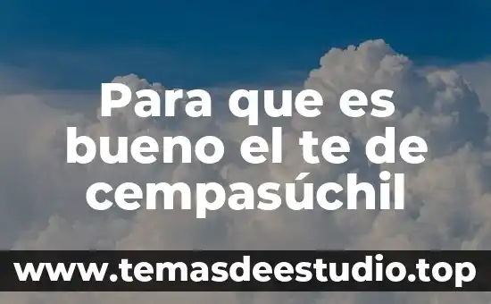 Que es significa cuando una persona te dice ando aglomerado 3 Para que es bueno el te de cempasúchil