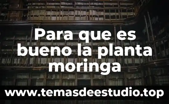 Que es bueno para la debilidad 6 Para que es bueno la planta moringa