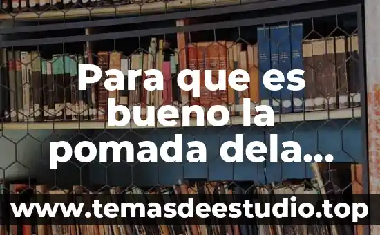 Que es la planificación en metodologia dela investigacion 8 Para que es bueno la pomada dela tía con baporú