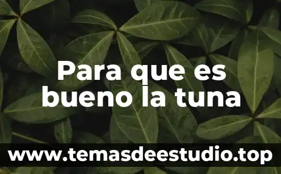 Que es un liron animal 5 Para que es bueno la tuna