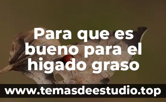 Que es bueno para el higado graso en niños 5 Para que es bueno para el higado graso