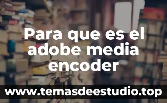 Que es un media en arquitectura 6 Para que es el adobe media encoder