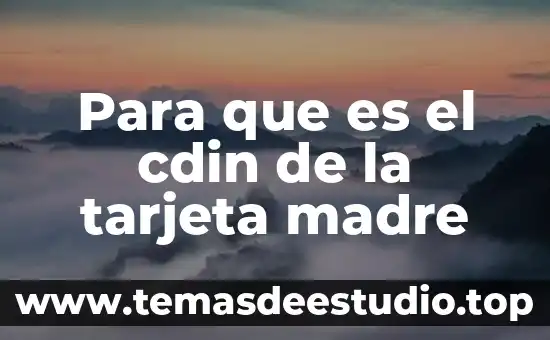 Que es el nombre de tarjeta 5 Para que es el cdin de la tarjeta madre