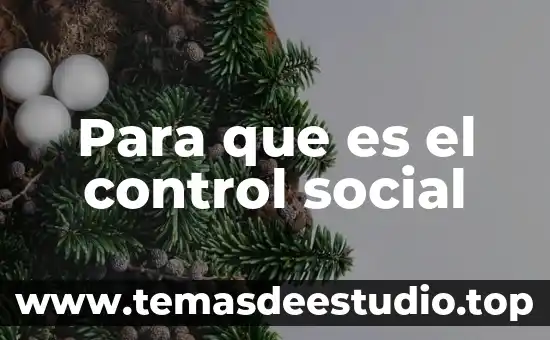 Qué es producción social concepto 5 Para que es el control social