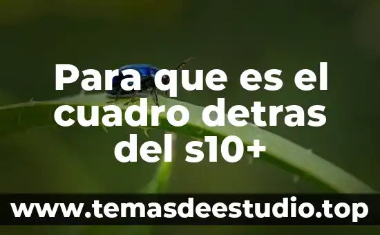 Qué es el cuadro de operacionalización de la variable 4 Para que es el cuadro detras del s10+