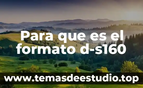 Para que es el formato d-s160