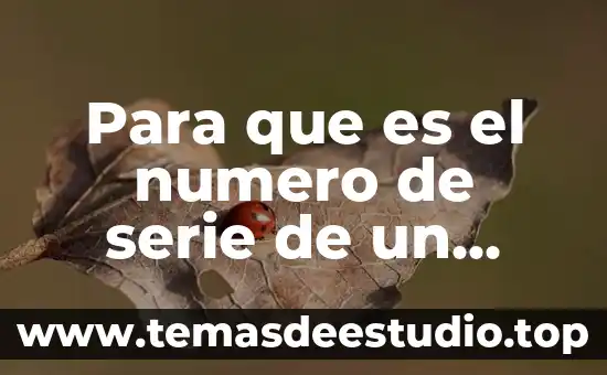 Qué es el número de registro de Avon 6 Para que es el numero de serie de un celular