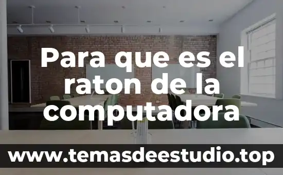 Animal que es como un ratón gigante 3 Para que es el raton de la computadora