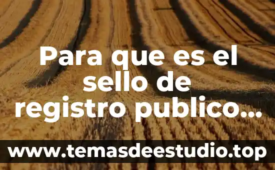 Que es sello en informatica 8 Para que es el sello de registro publico de comercio