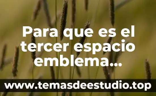 Que es el espacio olfativo 8 Para que es el tercer espacio emblema dragon nest