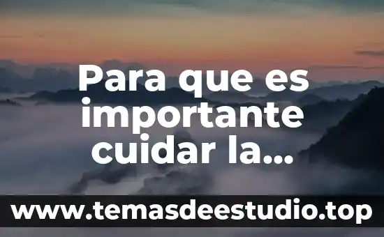 Por que es necesario cuidar la salud mental 3 Para que es importante cuidar la electricidad