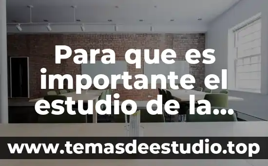 Qué es lo más importante de la teoría de Vigotsky 6 Para que es importante el estudio de la química