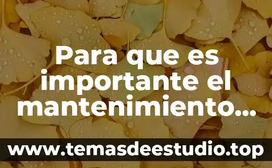 Que es conocimiento en una empresa 4 Para que es importante el mantenimiento de una empresa