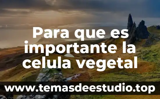 Que es la celuls vegetal 4 Para que es importante la celula vegetal