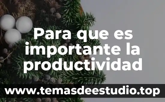 Que es la productividad en finanzas 7 Para que es importante la productividad