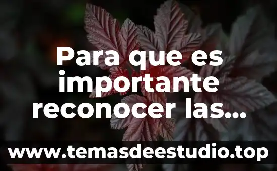 Que es la expresion de emociones en la literatura 5 Para que es importante reconocer las emociones