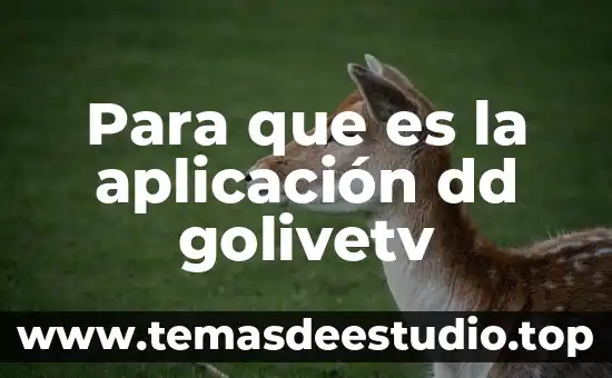 Que es mejor ponerse bracket dd arriba primero 5 Para que es la aplicación dd golivetv