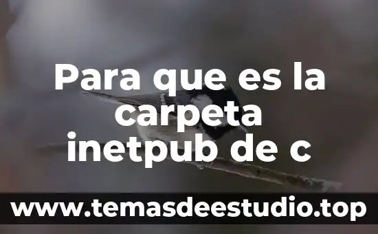 Para que es la carpeta inetpub de c