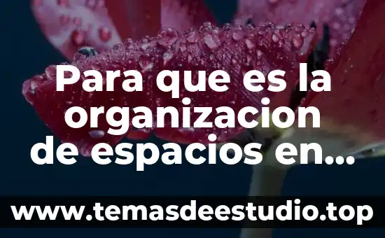 Para que es la organizacion de espacios en educacion infantil