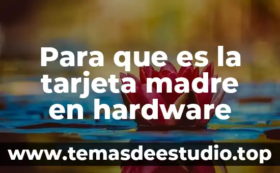 Que es el nombre de una tarjeta 6 Para que es la tarjeta madre en hardware
