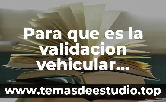 Como una ciudad llegó a ser lo que es 5 Para que es la validacion vehicular ciudad de mexico
