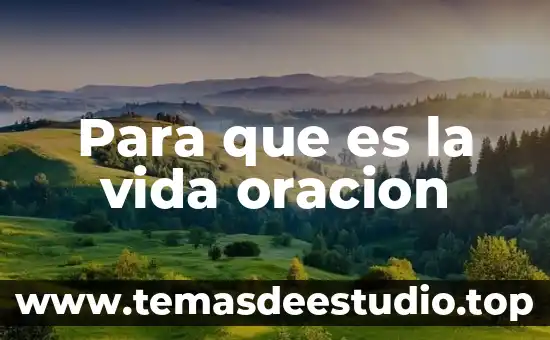 Que es la oración de yuxtapuestas y ejemplos 6 Para que es la vida oracion